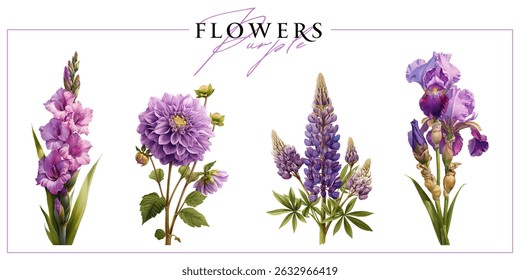 Purple flowers isolated on a white background. Vintage painting style illustration.
