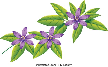 Purple flowers on green leaves illustration