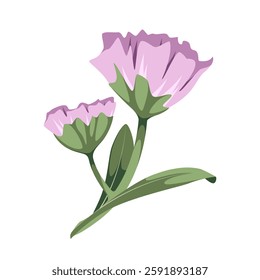 Purple flowers on a white background. Decor. Vector illustration.
