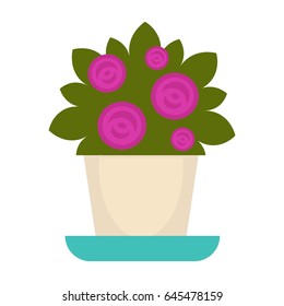 Purple flowers in pot