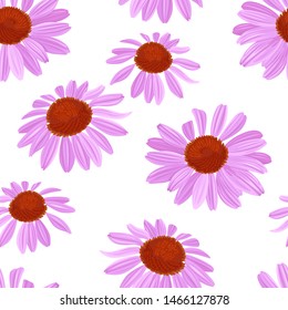 Purple flowers seamless pattern on white background. Vector illustration of a beautiful blooming echinacea in cartoon simple flat style.
