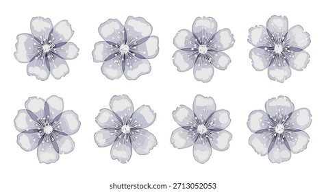 Flores púrpuras con fondo transparente