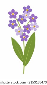 Purple forget-me-not, a symbol of the memory of the Armenian genocide. Forget me not sprig vector illustration with purple flowers and green leaves isolated on white background.