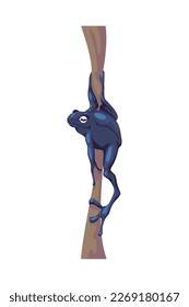 purple frog illustration over white