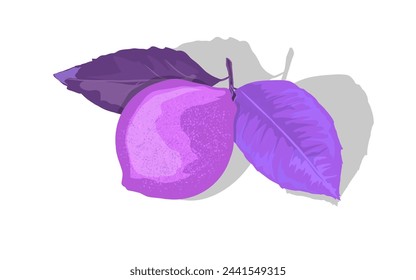 purple fruit and leaves on a white background