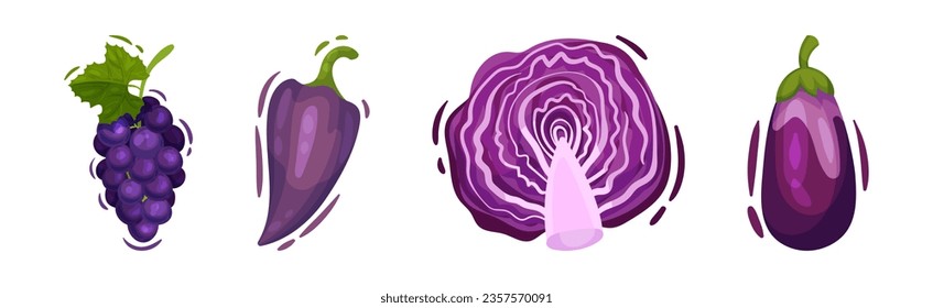 Purple Fruit and Vegetable with Grape, Pepper, Cabbage and Aubergine Vector Set