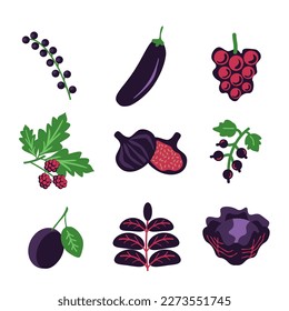 Purple fruits and vegetables vector collection