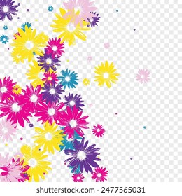 Purple Garden Background Transparent Vector. Plant Small Texture. Color Daisy Botanical. Element Template. Creative Multi-colored Gerbera.