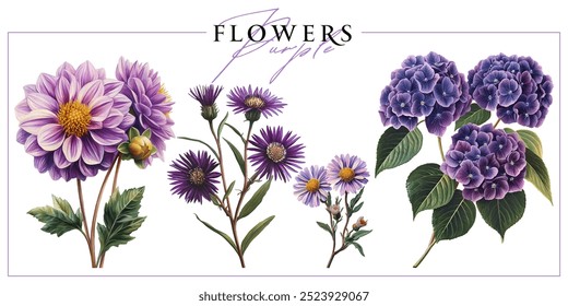 Purple garden flowers isolated on a white background. Vintage painting style illustration.