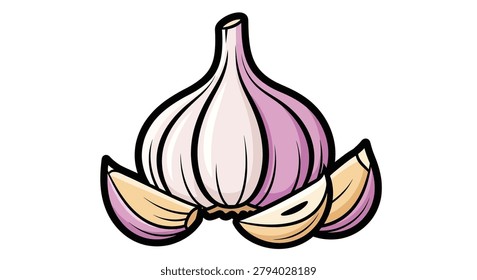 Purple garlic bulb with cloves isolated