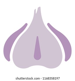 Purple garlic icon in flat color design vector illustration