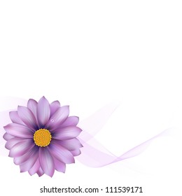 Purple Gerber With Blend, Isolated On White Background, Vector Illustration