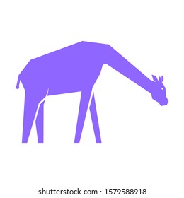 Purple giraffe isolated on white background, vector illustration