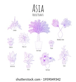Purple gradient set of potted asian houseplants with names. Line art style vector illustration
