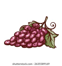 Purple grape cluster with lush green leaf and curly stem in bold cartoon style. Outline vector illustration for wine design, stickers, labels, and food decor.