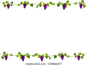 Purple grape frame, white background