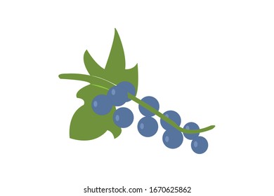 purple grape fruit and sweet nature