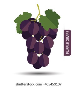 Purple grape, fruit vector illustration.