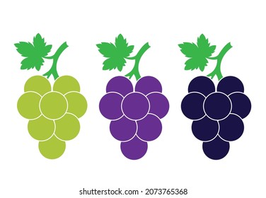 Purple grape green grapes with green stems and leaves various colors vector grapes for children's books health posters and more