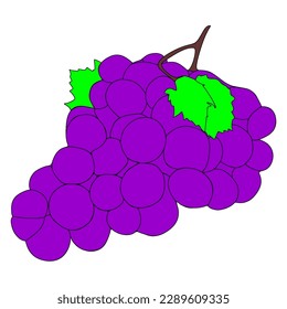 Purple grape with green leaf fruit