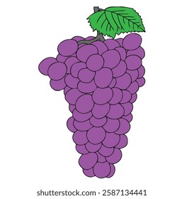 A purple grape with a green leaf on top. The grape is the main focus of the image