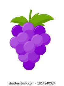 Purple grape with green leaves isolated on white background, flat design, fruit vector illustration