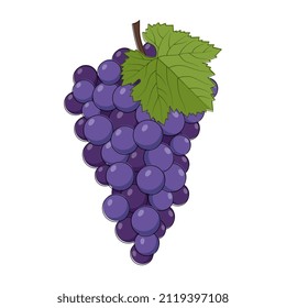 Purple grape illustration. Fruit in flat design isolated on white
