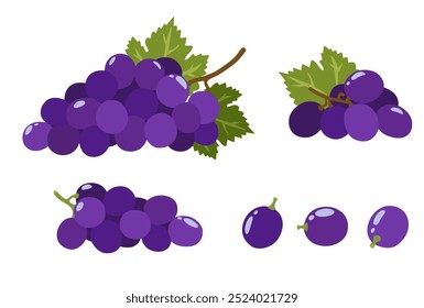 purple  Grape isolated on white background. Vector eps 10. perfect for wallpaper or design elements