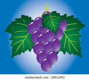 Purple grape on blue background. Vector illustration.