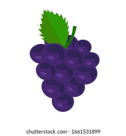 purple grape on white background