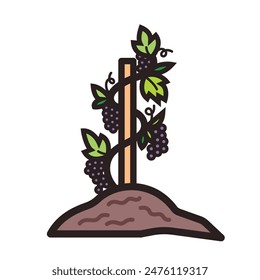 Purple grape plant colorful icon illustration with outline isolated on square white background. Simple flat cartoon art styled drawing.