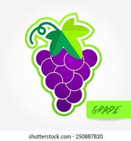 purple grape vector illustration