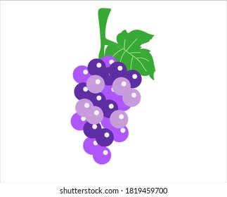 violette Traube, Vektorgrafik auf weißem Hintergrund.