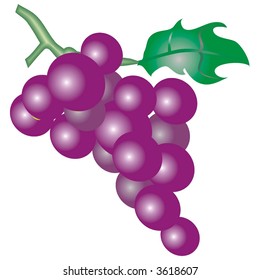 purple grapes