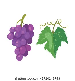 Ramo de uvas roxas. Clipart de vetor plano, ilustração com plano de fundo isolado.