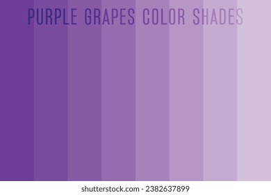 Purple grapes color shades, Grapes fruit color palette vector illustration