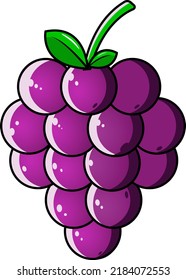 Purple grapes design icon vector 
