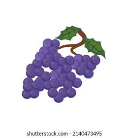 diseño de uvas púrpuras sobre blanco