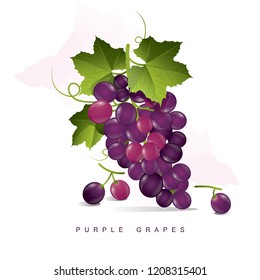 Purple Grapes Fruit