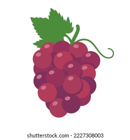 Purple grapes. Healthy sweet fruit for vegetarians.