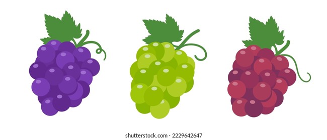 Uvas moradas. Frutas dulces saludables para los vegetarianos.