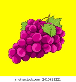 purple grapes illustrated as vector graphics