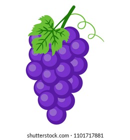 Purple Grapes Illustration - Bunch of purple grapes with stem and leaf isolated on white background