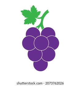 Ilustración de uvas moradas - Montaje de uvas moradas con tallos y hojas para libros infantiles, carteles sobre la salud, revistas murales y más