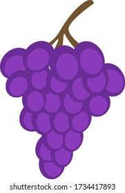 Purple grapes, illustration, vector on white background