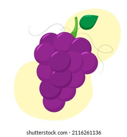 Purple grapes isolated on white background with light yellow circles. Bunch of purple grapes with stem and leaf. Cartoon style.