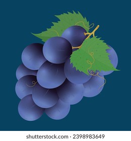 Purple grapes and leaves. Green grapes in fly on a background. Realistic vector illustration.