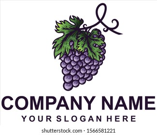 purple grapes logo design vector