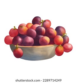 Purple Grapes on Bowl Isolated Hand Drawn Painting Illustration