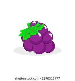 uvas moradas. Las uvas aisladas en un fondo blanco. Ilustración del vector